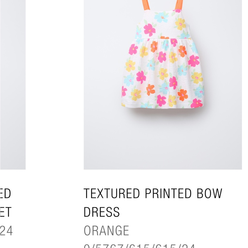 Zara Colorful Floral Textured Dress